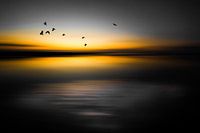 Colors of the North 5