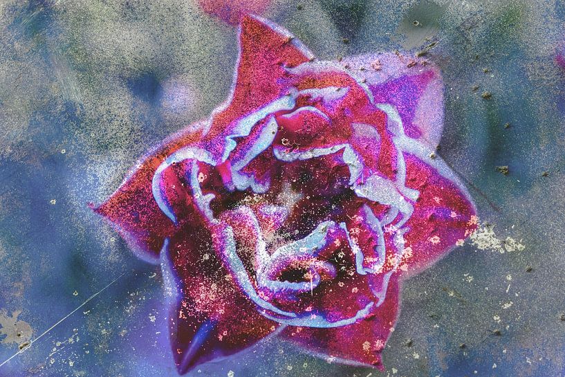 Abstrakt von Marieke Deinum