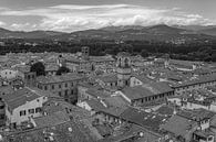 Lucca, Italië - Uitzicht vanaf Torre delle Ore - 3 van Tux Photography thumbnail