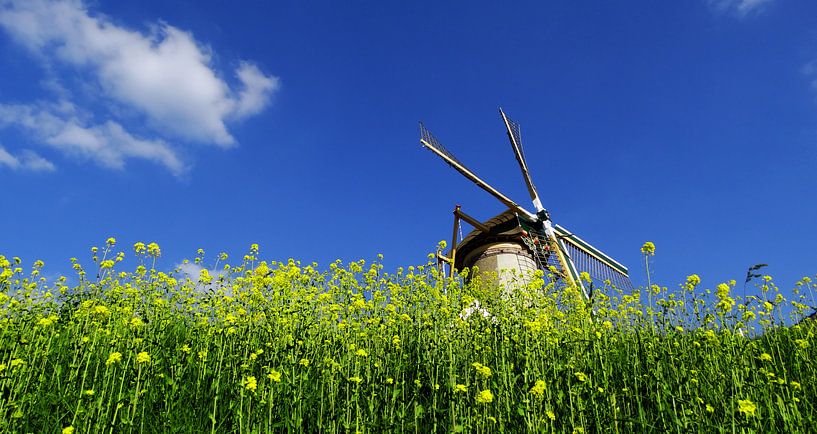 Windmolen tegen blauwe lucht van Wijnand Kroes