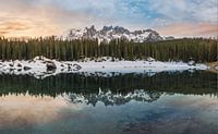 Landscape reflection