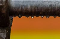 Ohne Titel