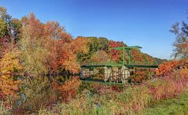 Kroonbrug in de Herfst , Biesbosch , Werkendam von Rens Marskamp