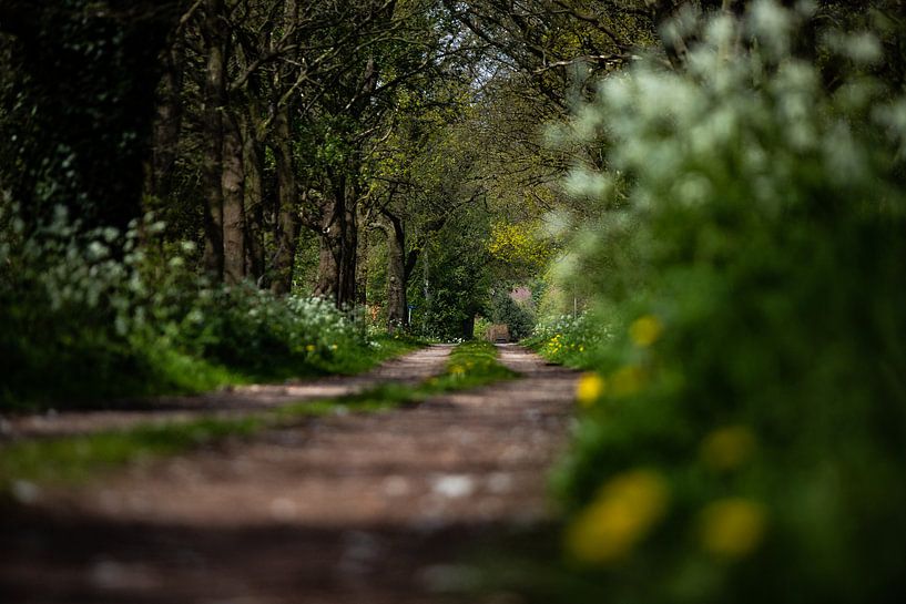 scenic road by Margriet Hulsker