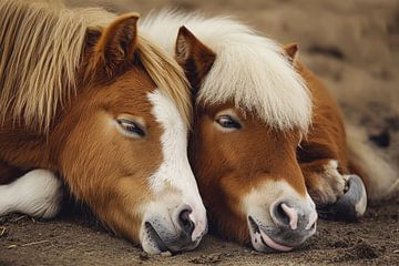 schlafende Pferde von Monique Leenaerts