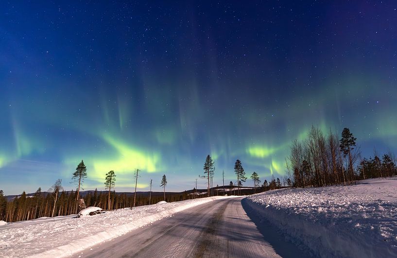 Polarlicht Nordschweden – Grünes Leuchten am Polarkreis von Fototante