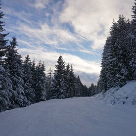 Skipiste met besneeuwde bomen bij zonsondergang in Wildschönau, Tirol, Oostenrijk van Kelly Alblas