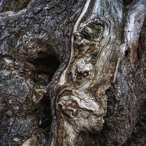 Sprechende Figuren im Baumstamm