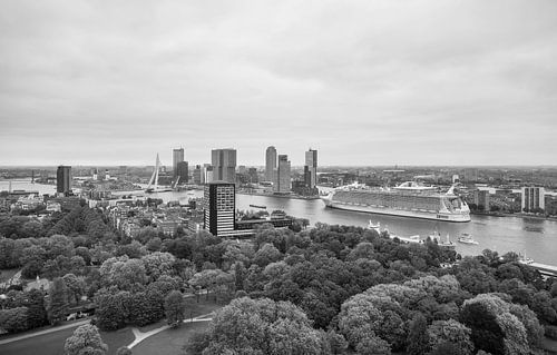 Het cruiseschip Harmony of the Seas in Rotterdam