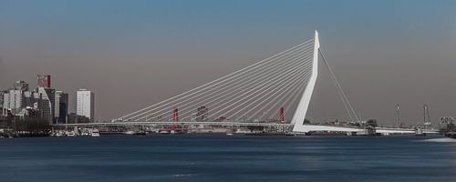 Erasmusbrug 