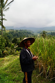 Man in Indonesische Rijstvelden van Maud around the World