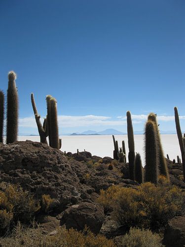 Zoutvlakte van Uyuni in Bolivia 