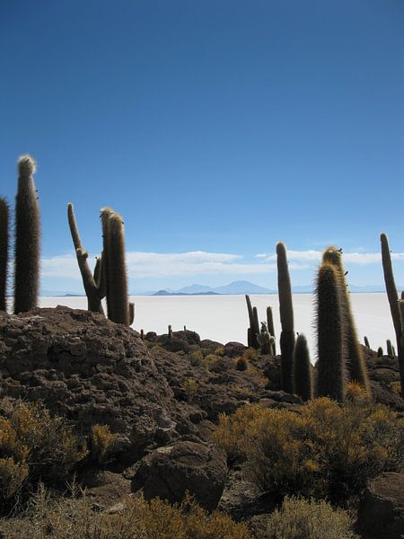 Zoutvlakte van Uyuni in Bolivia  von Bart Muller