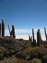 Zoutvlakte van Uyuni in Bolivia  van Bart Muller thumbnail
