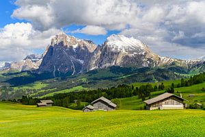 Seiser Alm oder Seiseralm in den Dolomiten im Frühling