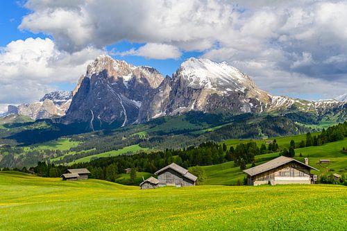 Seiser Alm of Alpe di Siusi in de Dolomieten in het voorjaar