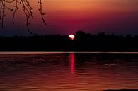 Zonsondergang bij de Rijkerswoerdse plassen in Arnhem van Anne Ponsen thumbnail