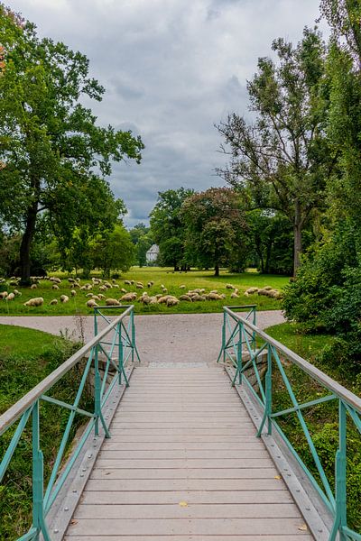 Willkommen im Ilmpark der Klassikerstadt Weimar von Oliver Hlavaty