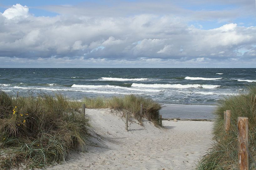 Am Strand in Mecklenburg - Vorpommern von Anja Bagunk