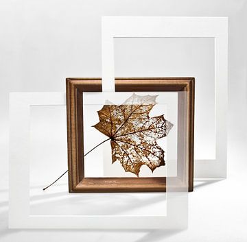 Herbstliches Ahornblatt im Innenraum. von Mykhailo Sherman