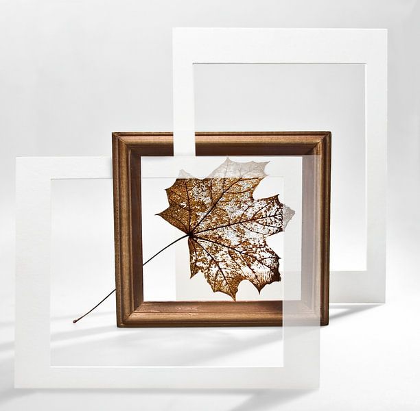 Herfst esdoornblad in het interieur. van Mykhailo Sherman