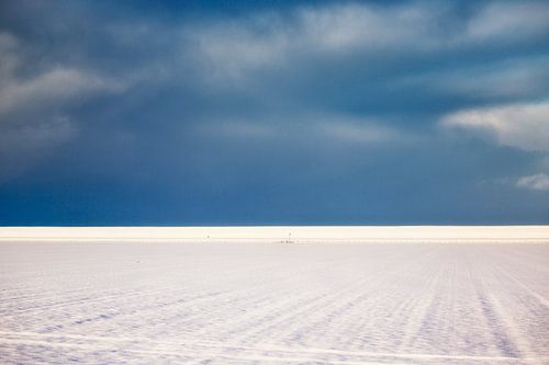 Landschap in blauw-wit