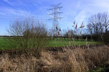 Spring in Aartselaar: Green Peace near Antwerp by Kristof Leffelaer