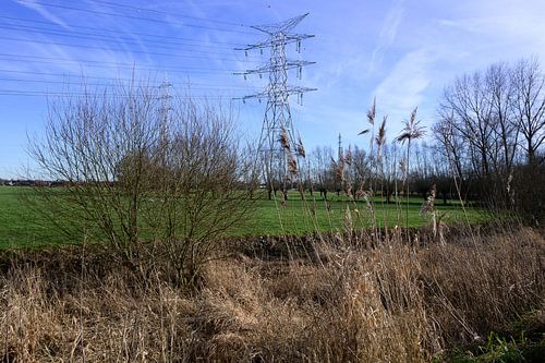 Lente in Aartselaar: Groene Rust bij Antwerpen