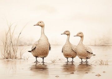 Ducks by ARTEO Paintings