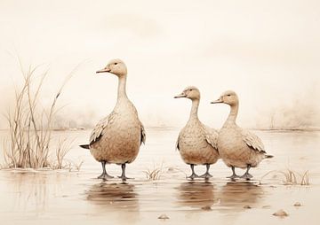 Canards sur Tableaux ARTEO