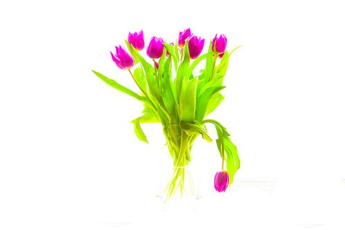 Paarse tulpen