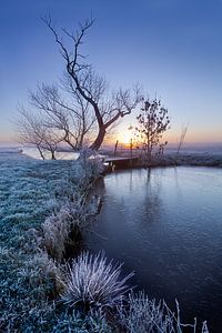 Frostiger Morgen von Halma Fotografie