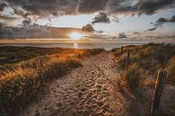 Op het strand! von Dirk van Egmond Miniaturansicht