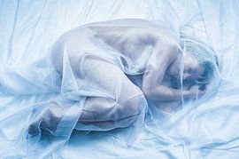 female nude under tulle by Jörg B. Schubert