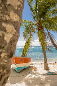Buntes Boot auf Saona (Dominikanische Republik)