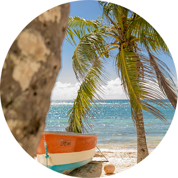 Kleurrijk bootje op Saona (Dominicaanse Republiek)