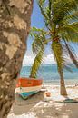 Kleurrijk bootje op Saona (Dominicaanse Republiek) van Laura V thumbnail