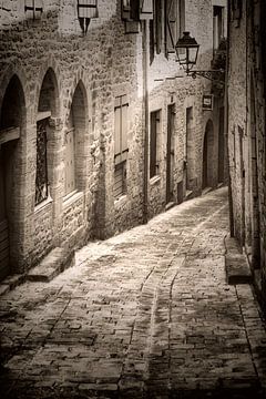 Alley in Sarlat-la-Caneda by Jan van der Knaap