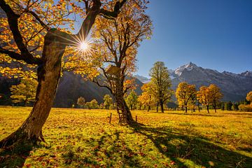 Un automne doré dans le Karwendel ? ici à "Großer Ahornboden"