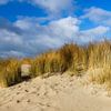 Blick zum Leuchtturm Texel Panoramaformat von Daniela Beyer