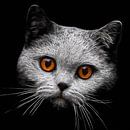 Blick-Duell mit einer Katze von Lars van de Goor Miniaturansicht