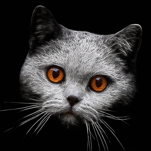 Blick-Duell mit einer Katze von Lars van de Goor