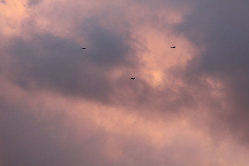 Een Prachtige  Wolkenlucht