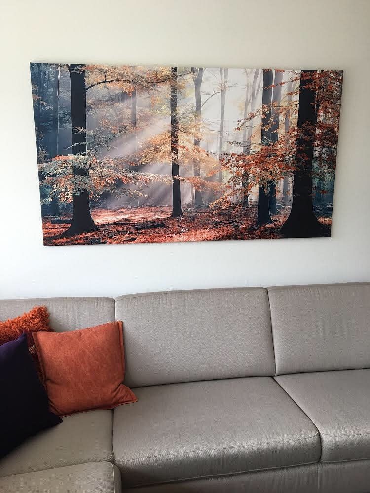 Sinfonia Della Foresta 2 par Lars van de Goor