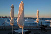 Closed umbrellas on the coast of Valencia