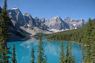 Morraine Lake in den kanadischen Rocky Mountains von Arjen Tjallema Miniaturansicht