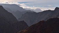 Wild Gran Canaria