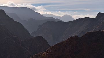 Wild Gran Canaria van Timon Schneider