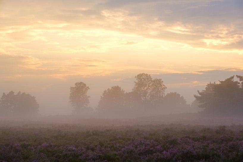 Nebel bei Sonnenuntergang von Johan Vanbockryck