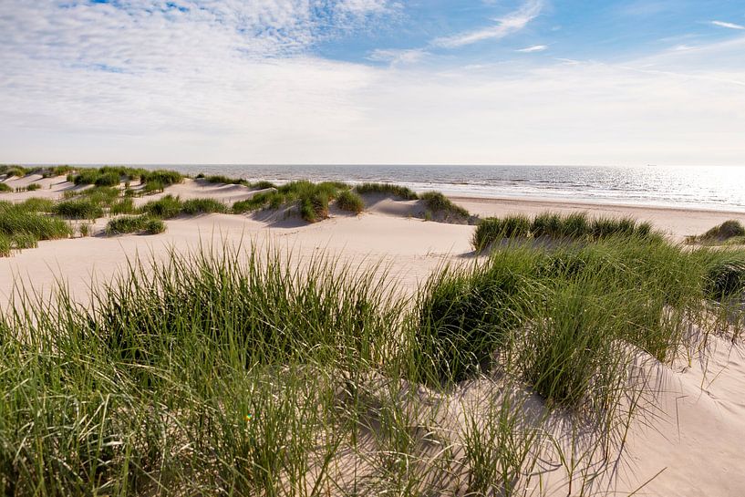 Hollandse kust met duinen en zee van Evelien Oerlemans